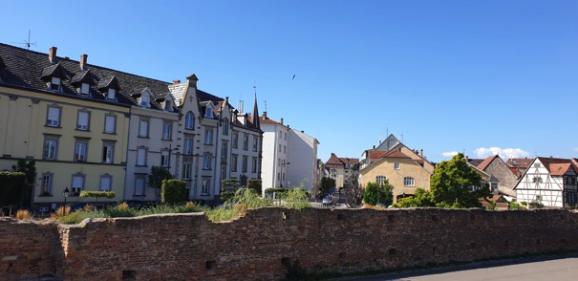 montagne-verte-img-03