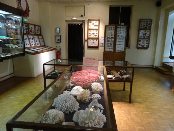 Le musée d’histoire naturelle et d’ethnographie