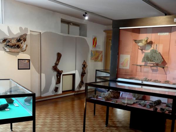 Le musée d’histoire naturelle et d’ethnographie