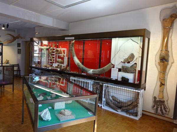 Le musée d’histoire naturelle et d’ethnographie