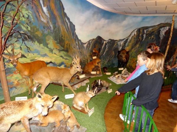 Le musée d’histoire naturelle et d’ethnographie